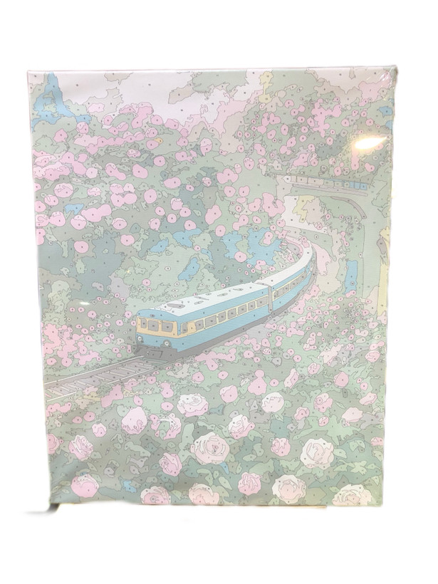 خرید نقاشی شماره دار ۴۰ در ۵۰ بومی طرح قطار و گل
