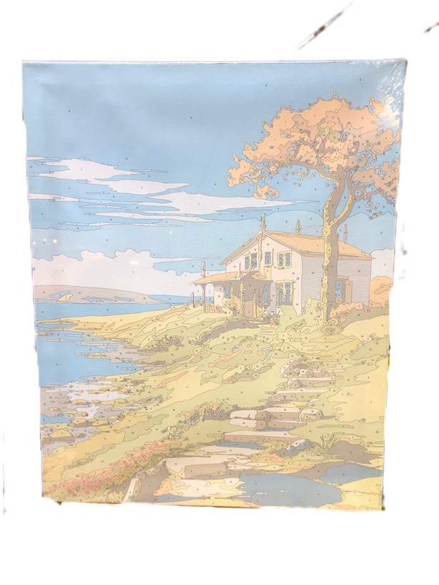 قیمت نقاشی شماره دار ۴۰ در ۵۰ بومی طرح خانه و دریا