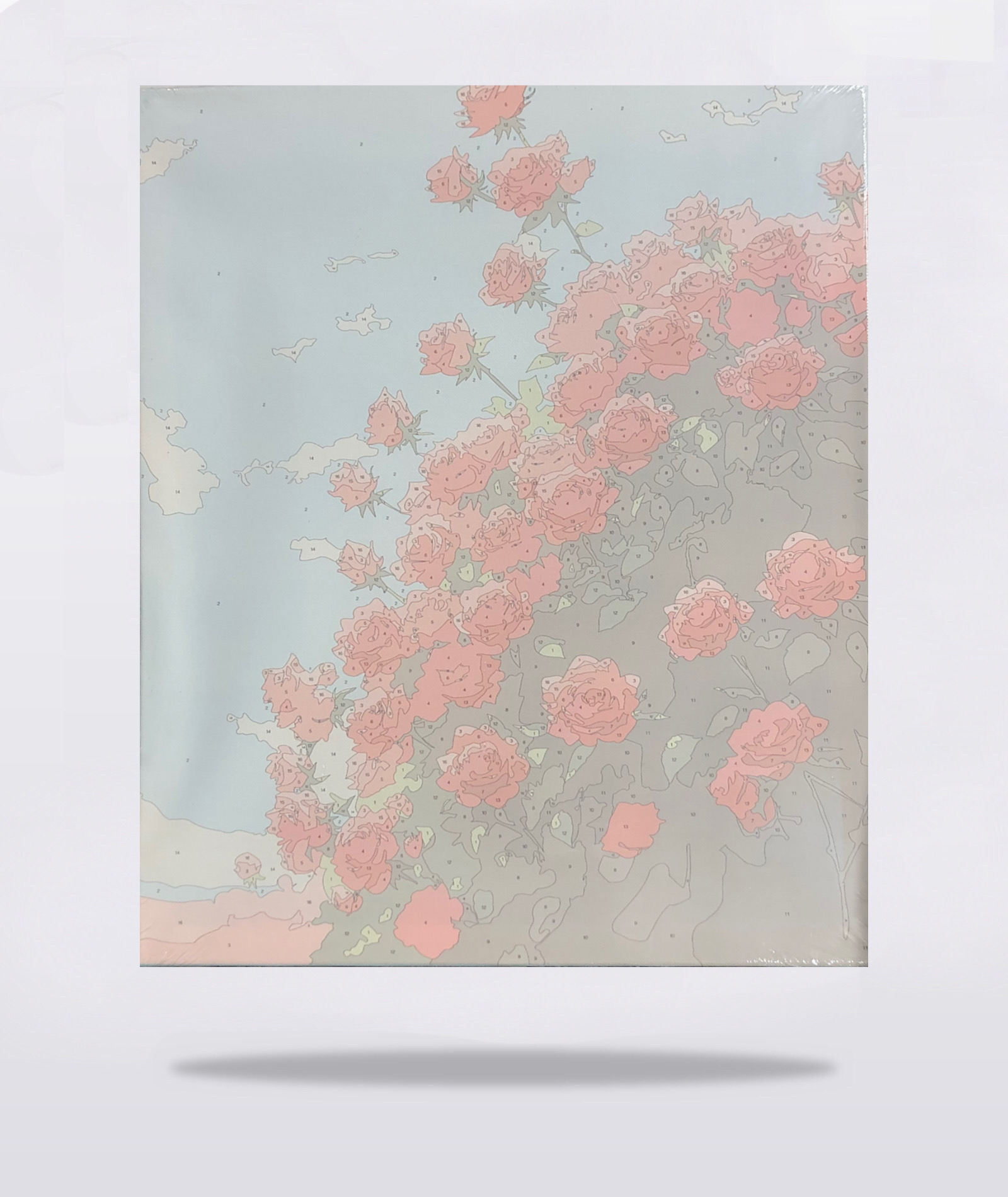 خرید نقاشی شماره دار ۴۰ در ۵۰ بومی گل